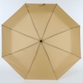 Зонт ArtRain 3512 +3